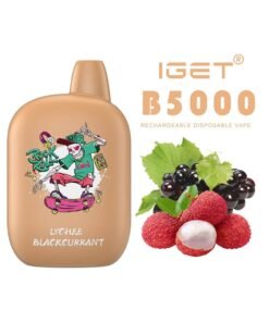 iGET B5000 VAPE 5000 PUFF – LYCHEE BLACKCURRANT